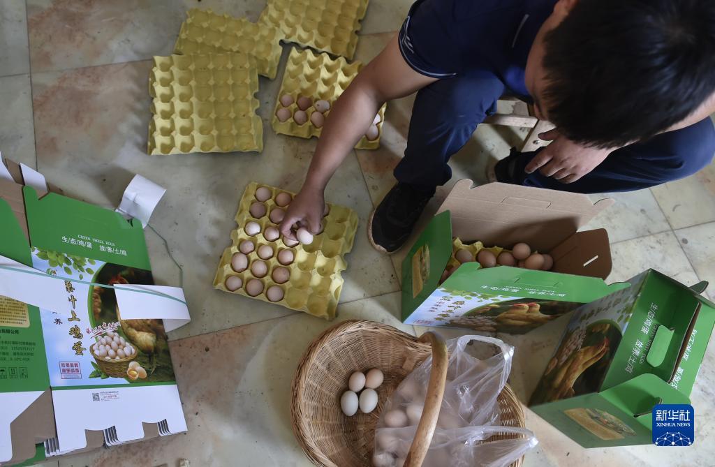 鼎盛游戏娱乐